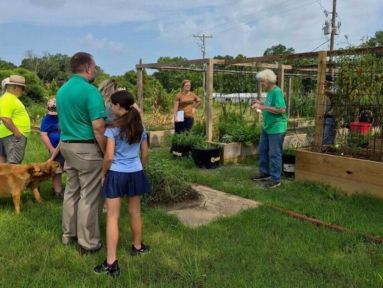 4-H program teaches gardening and beekeeping in Canton
