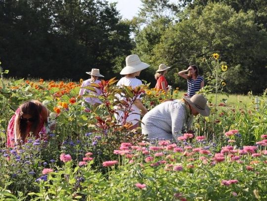 Growing in the garden: Canton Garden Club update
