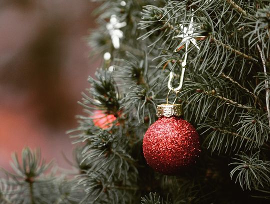 How to help prevent home christmas tree fires