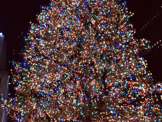 The Rockefeller Center Christmas Tree is an iconic American symbol that signals Christmas is on the horizon. The photo that I shot a few years ago was one of the last times visitors were allowed to get this close to the famous tree filled with lights and a star made of 3 million Swarovski crystals.