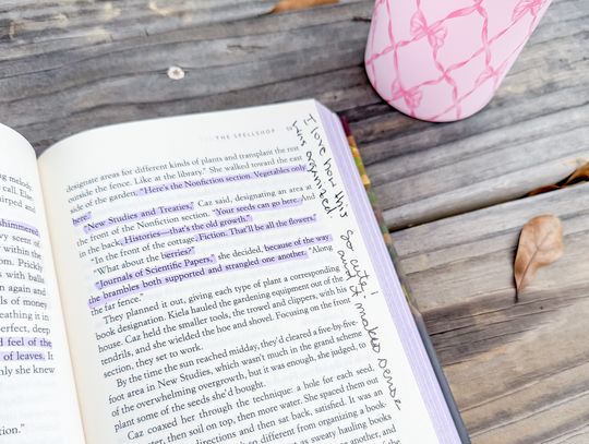 My view at the park while the girls played.