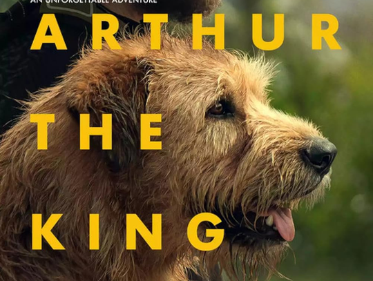 Movie Review: Arthur The King
