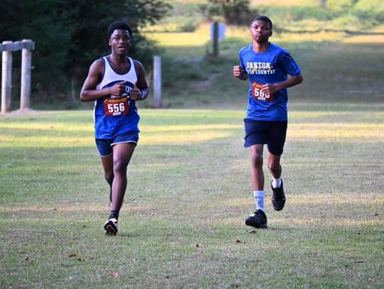 Tigers Excel at MHSAA Central MS Super Regional