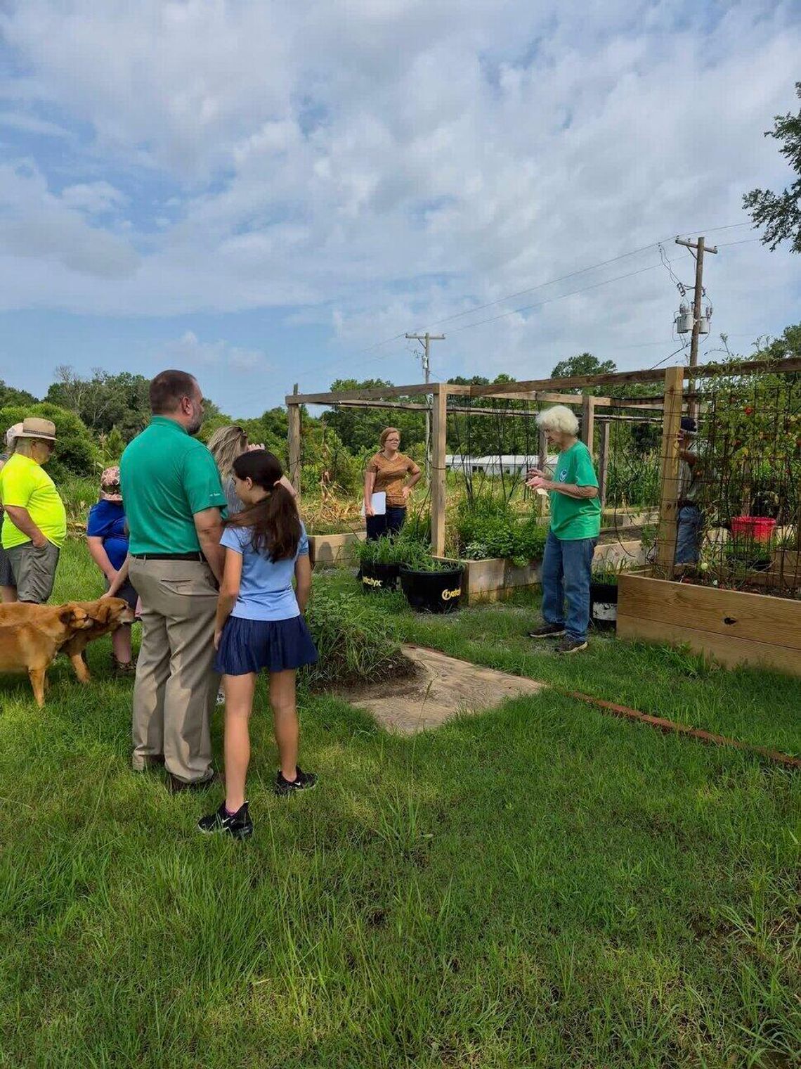 4-H program teaches gardening and beekeeping in Canton 4-H program teaches gardening and beekeeping in Canton