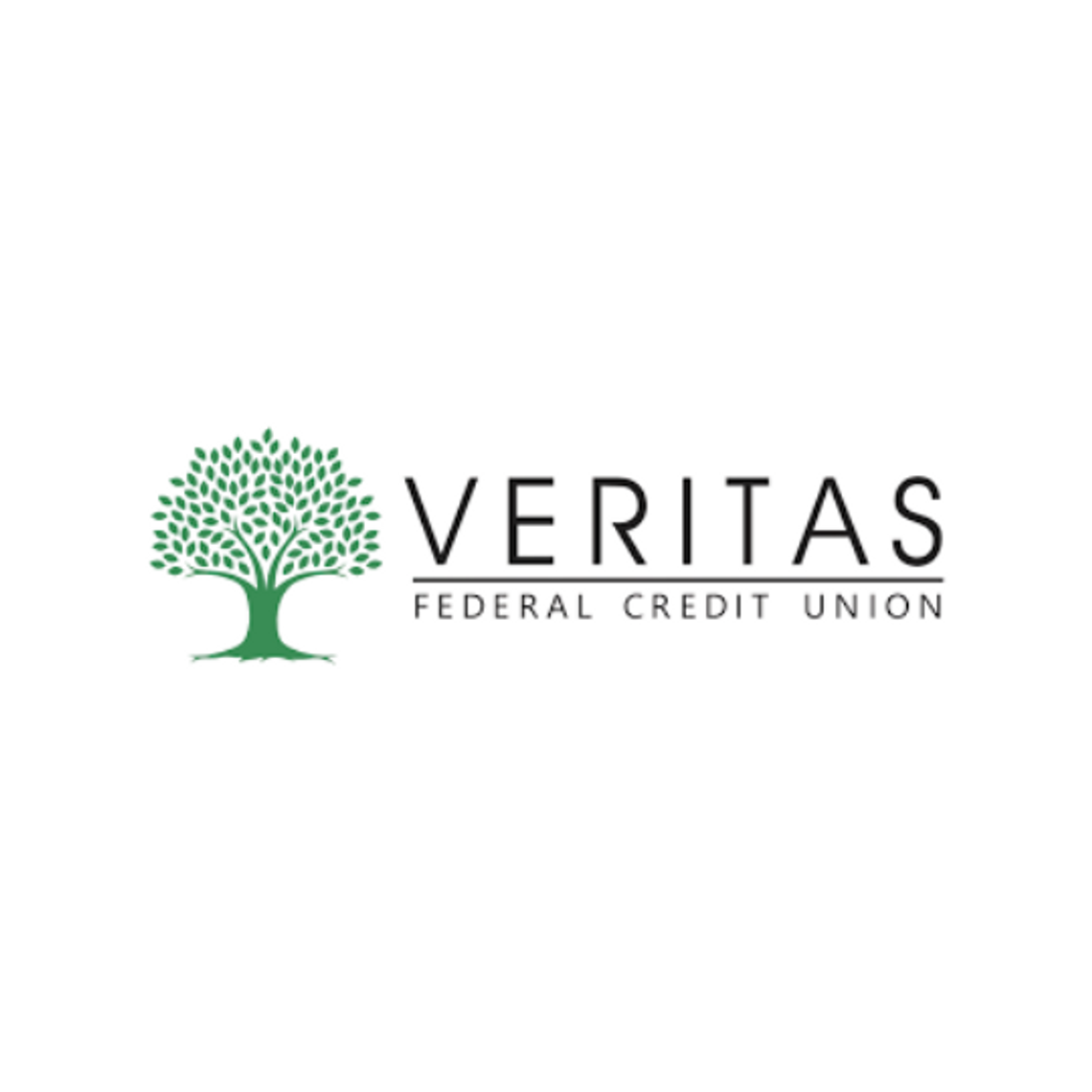 C.U. Smarter -  A financial education focus of Veritas Federal Credit Union, located at 276A Nissan Parkway in Canton