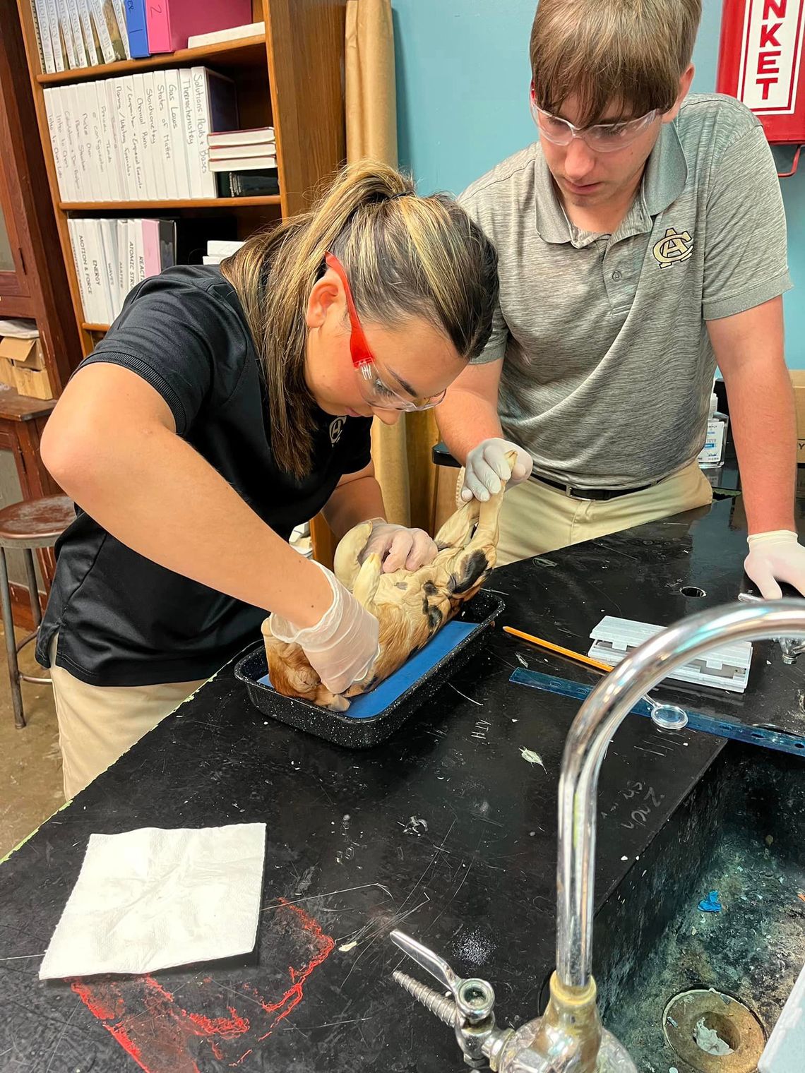 Mary Palmer Tupman and Easton Smith work on a fetal pig dissection.