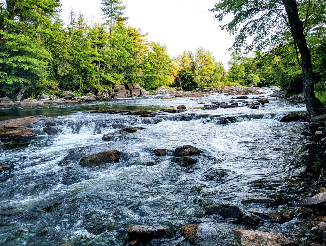 Celebrate the holiday at a State Park!