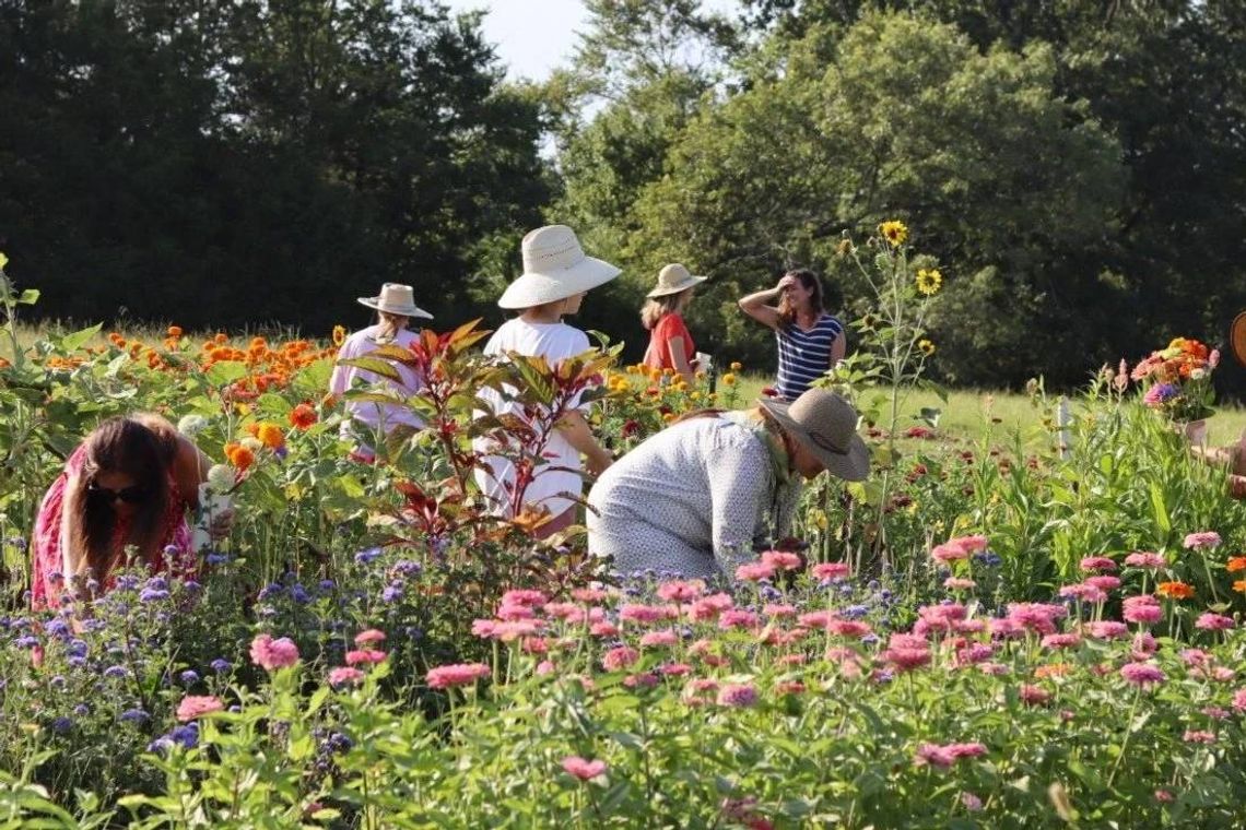 Growing in the garden: Canton Garden Club update