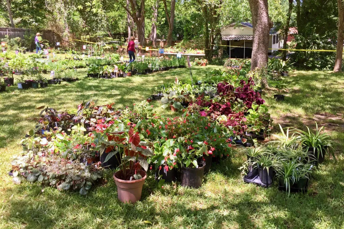 Metro Master Gardeners plans annual plant sale