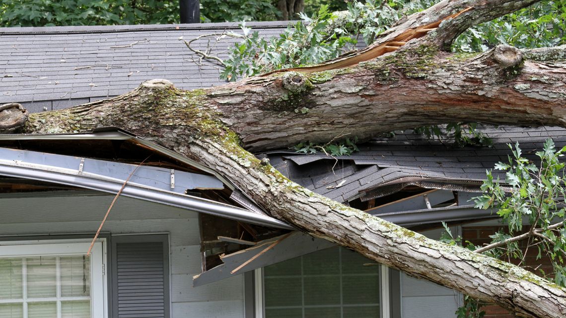 Storm Damage