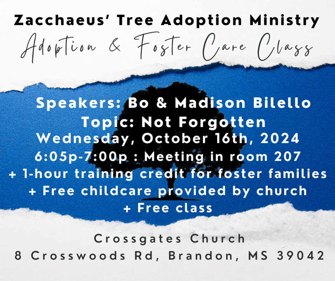 Next Adoption & Foster Care class will be on Wednesday, October 16th, 2024 at Crossgates Church in room 207