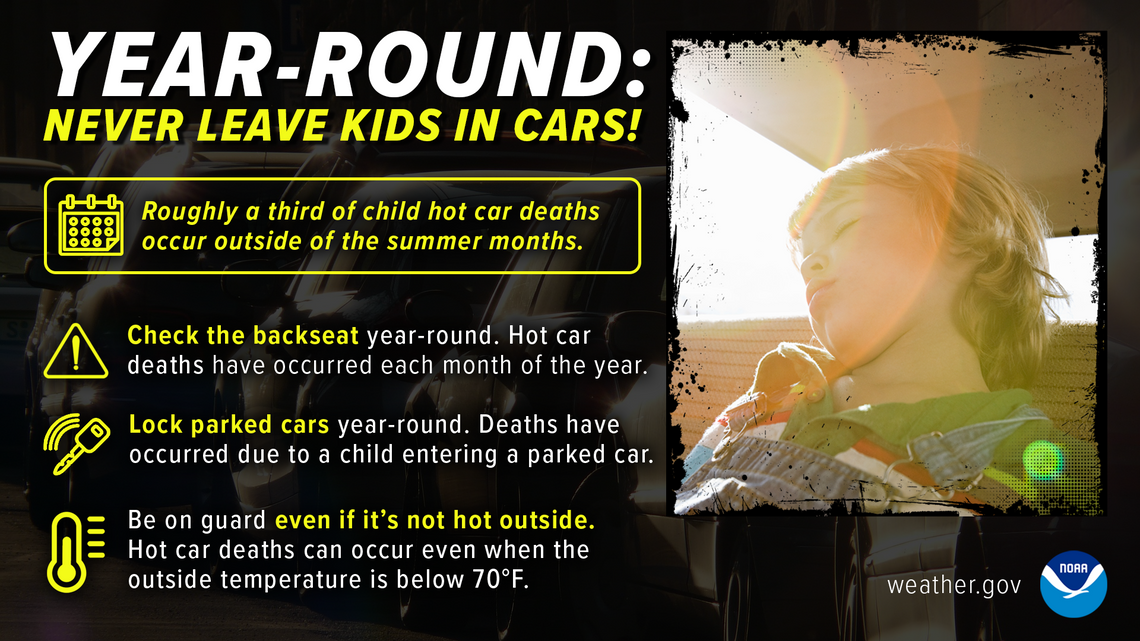 Stay safe in the heat this summer, experts warn