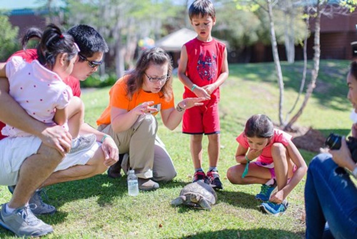 Naturefest